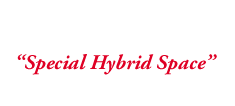 Special Hybrid Space